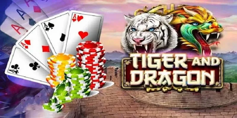 Vì sao nên cá cược Rồng Hổ tại Siu88?