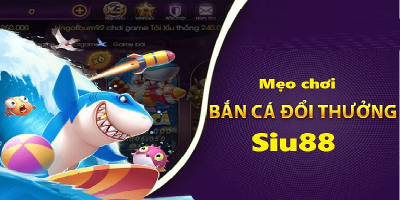 Cơ hội săn thưởng – Giải trí đi đôi cùng lợi nhuận